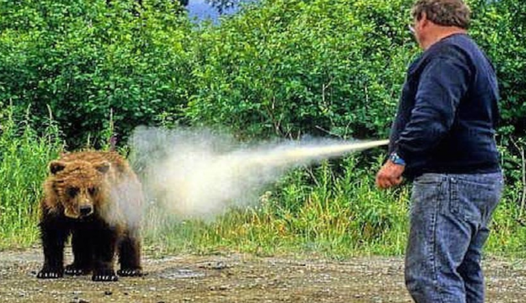 Spray autoaparare impotriva ursilor Walther Bear Defender 225 ml cu husa