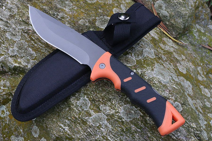 Cutit de Colectie 25 cm pentru Camping si drumetii