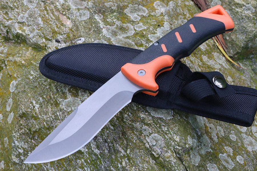 Cutit de Colectie 25 cm pentru Camping si drumetii