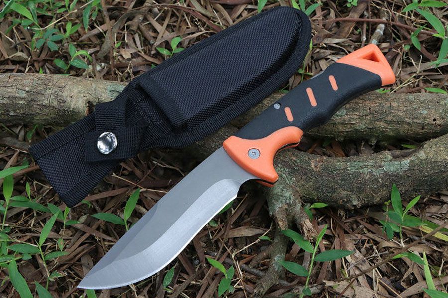 Cutit de Colectie 25 cm pentru Camping si drumetii